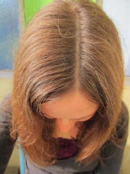 Bild