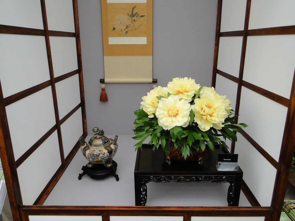 Chelsea2012-img75-Copy.jpg