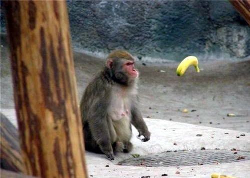 Fotos tomadas en el momento preciso. Fotos tomadas en el momento preciso.