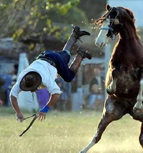 Imagenes graciosas Imagenes graciosas