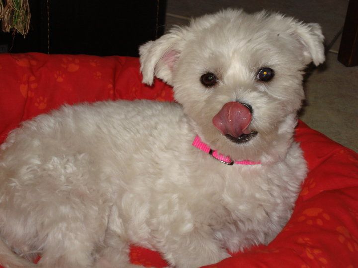 25703_374381184108_845887_n_zps8b13c701.