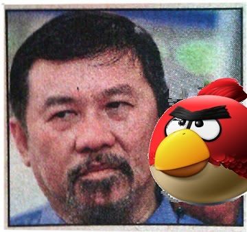 ZGYAngryBird.jpg