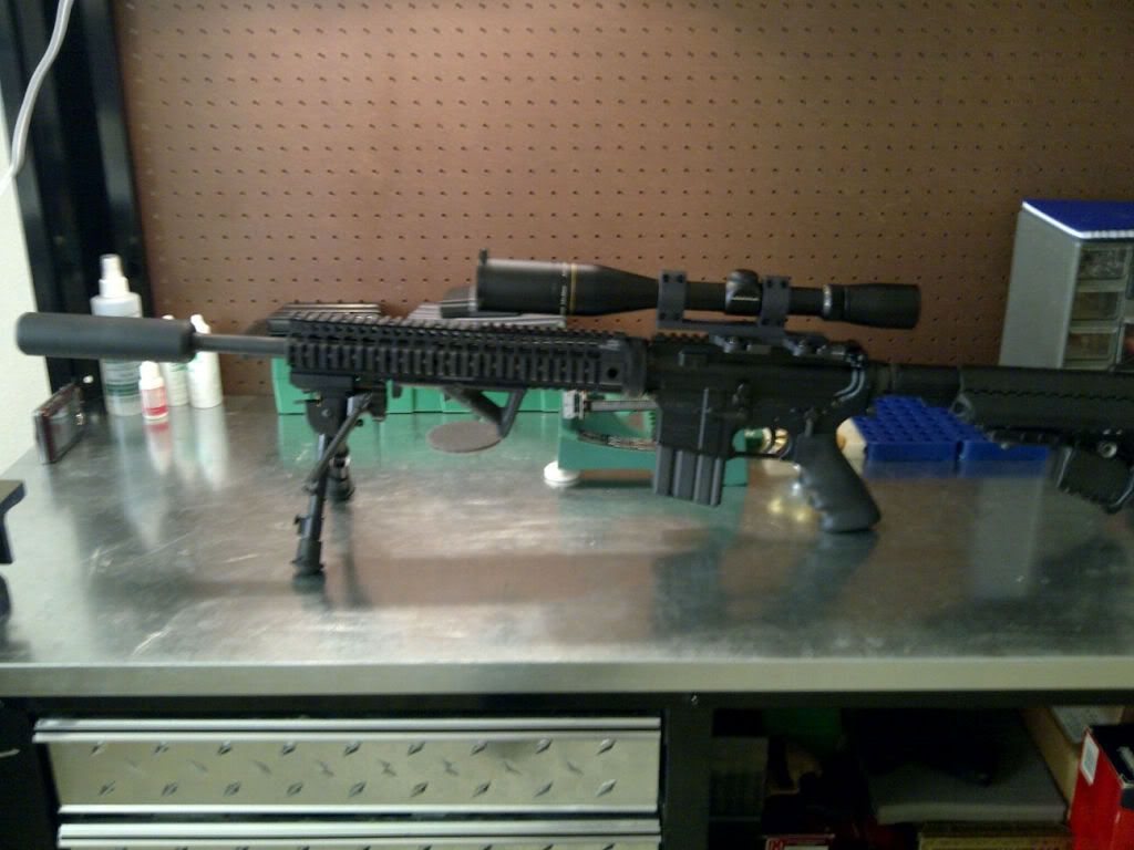 DPMS16.jpg