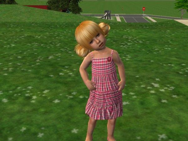 snapshot_bcb29c10_1cca7274.jpg