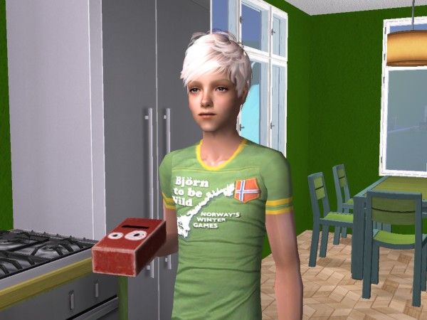 snapshot_bcb29c10_3ccad588.jpg