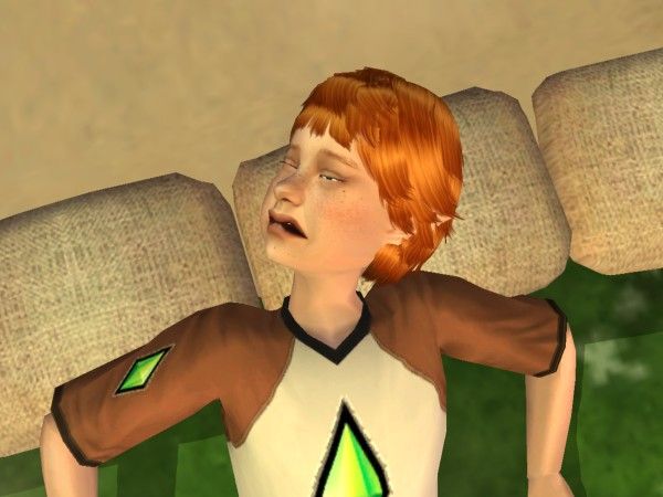 snapshot_ddad5729_1db7ffa9.jpg