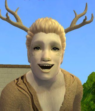 bernard.jpg