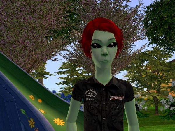 snapshot_bde72e1d_fea95aad_zpsbee4e8df.jpg