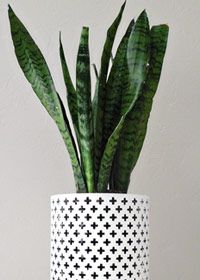 DIY Candleholder Planter