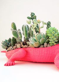 DIY Crocodile Succulent Planter