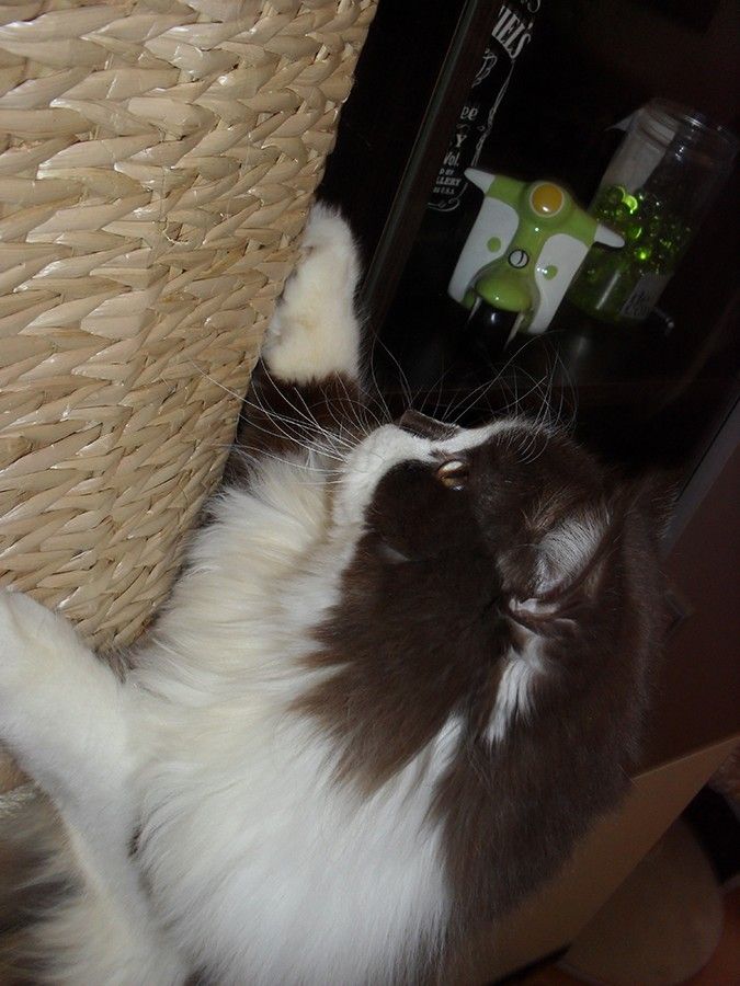 SAM_0572.jpg
