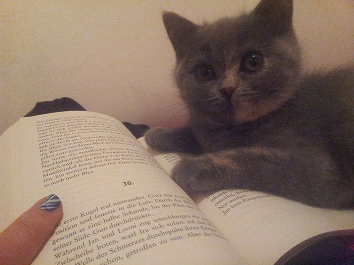 buch2.jpg