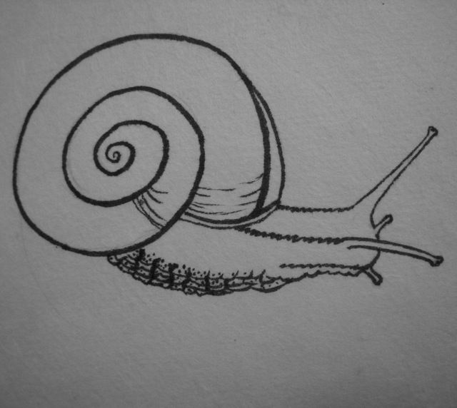 photo 2014-10-06-inktober6_zps2907a269.jpg