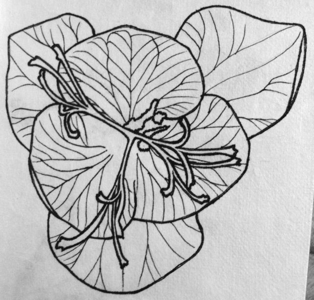 photo 2014-10-21-inktober15_zpse0a1f201.jpg