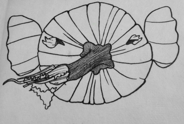 photo 2014-10-28-inktober25_zpsb46a0227.jpg