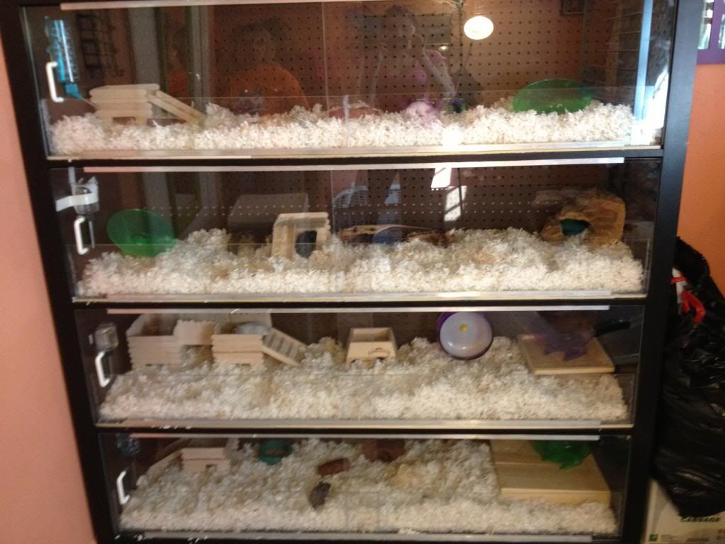 Ikea Hamster Cage