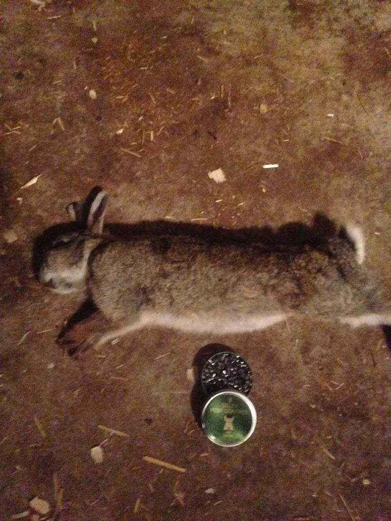 55AF2EAC-3660-4BFF-8D89-7F0FA5595A0F_zps