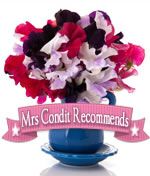 Mrs Condit Recommends photo mrscrecommends2_zps98e844fe.jpg
