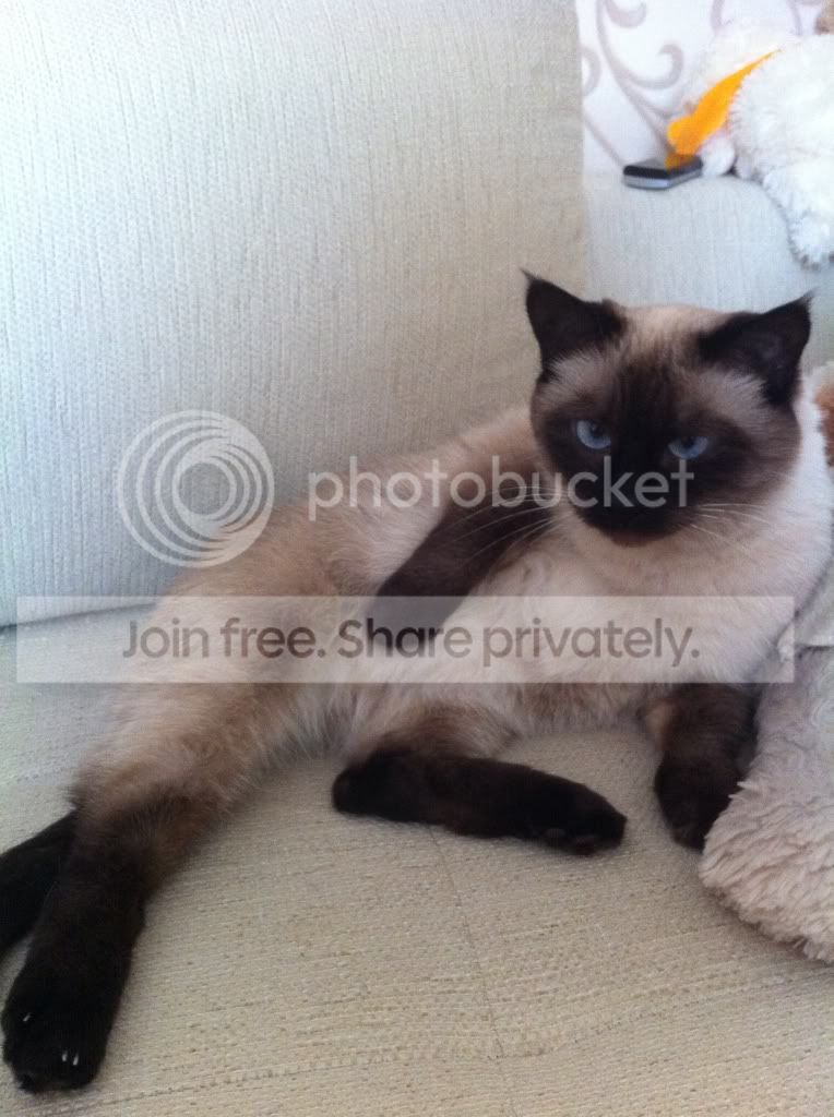 Photobucket Pictures, Images and Photos
